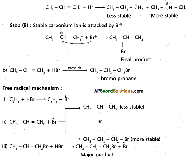 AP Inter 1st Year Chemistry Study Material Chapter 13 Organic Chemistry-Some Basic Principles and Techniques 48