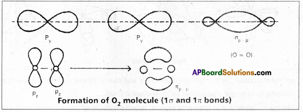 AP Inter 1st Year Chemistry Study Material Chapter 3 Chemical Bonding and Molecular Structure 71