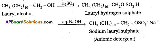 AP Inter 2nd Year Chemistry Important Questions Chapter 10 Chemistry In Everyday Life 24