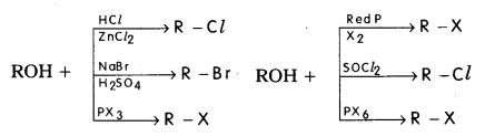 AP Inter 2nd Year Chemistry Important Questions Chapter 11 Haloalkanes And Haloarenes 81