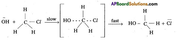 AP Inter 2nd Year Chemistry Important Questions Chapter 11 Haloalkanes And Haloarenes 83