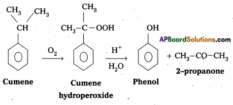 AP Inter 2nd Year Chemistry Important Questions Chapter 12(a) Alcohols, Phenols, and Ethers 15