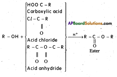 AP Inter 2nd Year Chemistry Important Questions Chapter 12(a) Alcohols, Phenols, and Ethers 6