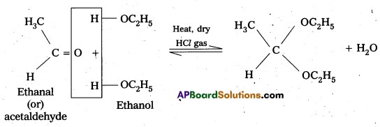 AP Inter 2nd Year Chemistry Important Questions Chapter 12(b) Aldehydes, Ketones, and Carboxylic Acids 22