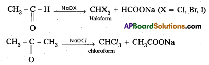 AP Inter 2nd Year Chemistry Important Questions Chapter 12(b) Aldehydes, Ketones, and Carboxylic Acids 29
