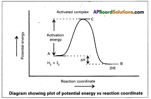 AP Inter 2nd Year Chemistry Important Questions Chapter 3(b) Chemical Kinetics 9