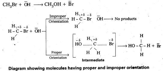 AP Inter 2nd Year Chemistry Study Material Chapter 3(b) Chemical Kinetics 20