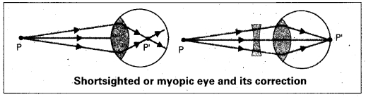 AP Inter 2nd Year Physics Important Questions Chapter 2 Ray Optics and Optical Instruments 2