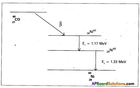 AP Inter 2nd Year Physics Study Material Chapter 14 Nuclei 9