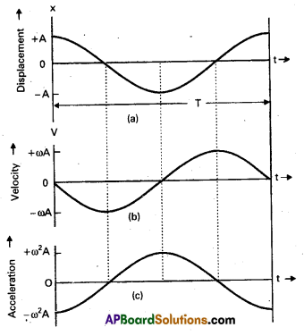 AP Inter 2nd Year Physics Study Material Chapter 8 Oscillations 2