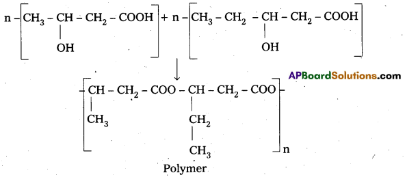 Inter 2nd Year Chemistry Important Questions Chapter 8 Polymers 32