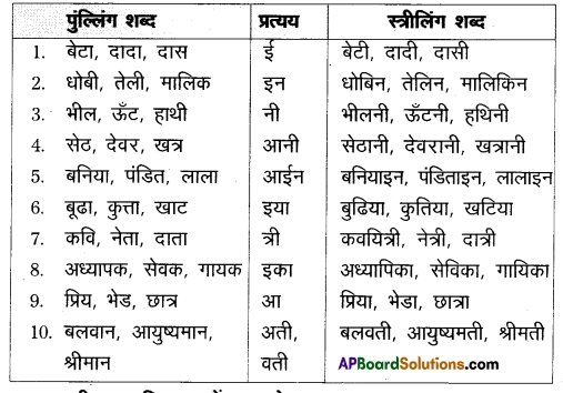 AP Inter 1st Year Hindi Grammar लिंग 1