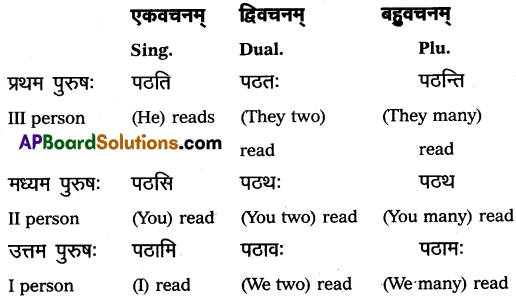 AP Inter 1st Year Sanskrit Grammar धातुरूपाणि 1
