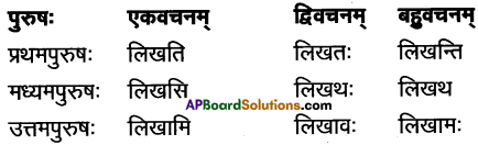 AP Inter 1st Year Sanskrit Grammar धातुरूपाणि 12