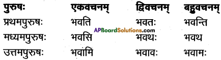 AP Inter 1st Year Sanskrit Grammar धातुरूपाणि 2