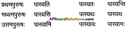 AP Inter 1st Year Sanskrit Grammar धातुरूपाणि 47