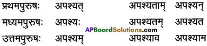 AP Inter 1st Year Sanskrit Grammar धातुरूपाणि 50