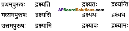 AP Inter 1st Year Sanskrit Grammar धातुरूपाणि 52