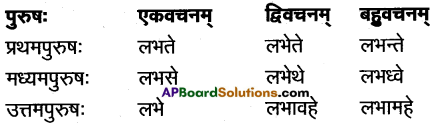 AP Inter 1st Year Sanskrit Grammar धातुरूपाणि 53