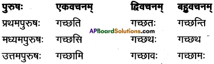AP Inter 1st Year Sanskrit Grammar धातुरूपाणि 7