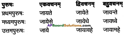 AP Inter 1st Year Sanskrit Grammar धातुरूपाणि 73