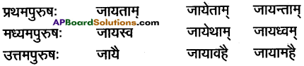 AP Inter 1st Year Sanskrit Grammar धातुरूपाणि 74