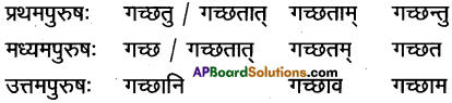 AP Inter 1st Year Sanskrit Grammar धातुरूपाणि 8