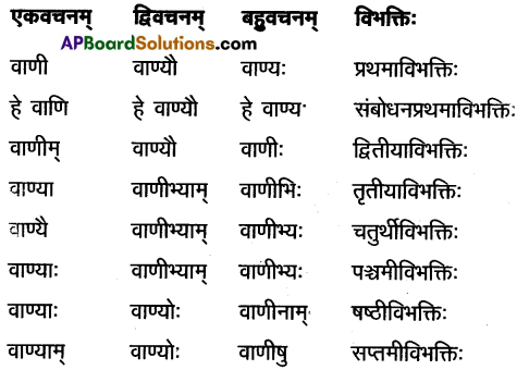 AP Inter 1st Year Sanskrit Study Material शब्दरूपाणि 10