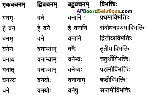 AP Inter 1st Year Sanskrit Study Material शब्दरूपाणि 11