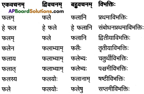 AP Inter 1st Year Sanskrit Study Material शब्दरूपाणि 12