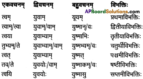 AP Inter 1st Year Sanskrit Study Material शब्दरूपाणि 15