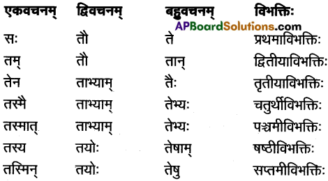 AP Inter 1st Year Sanskrit Study Material शब्दरूपाणि 16