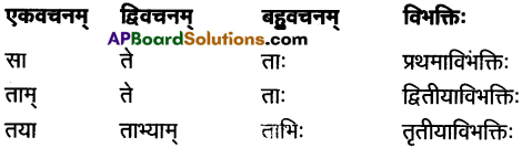 AP Inter 1st Year Sanskrit Study Material शब्दरूपाणि 17
