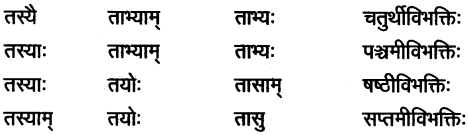 AP Inter 1st Year Sanskrit Study Material शब्दरूपाणि 18
