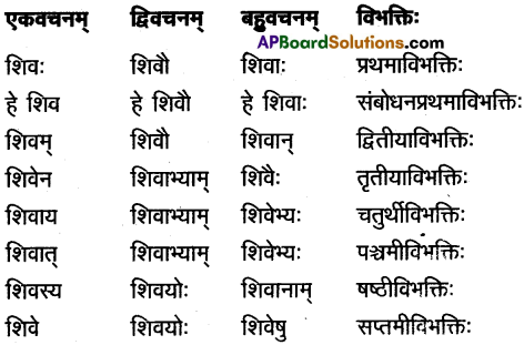 AP Inter 1st Year Sanskrit Study Material शब्दरूपाणि 2