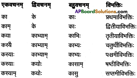 AP Inter 1st Year Sanskrit Study Material शब्दरूपाणि 21