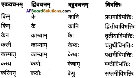 AP Inter 1st Year Sanskrit Study Material शब्दरूपाणि 22