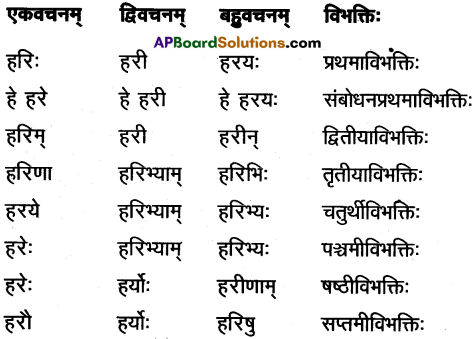 AP Inter 1st Year Sanskrit Study Material शब्दरूपाणि 3