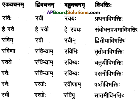 AP Inter 1st Year Sanskrit Study Material शब्दरूपाणि 4