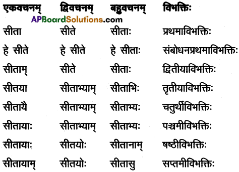 AP Inter 1st Year Sanskrit Study Material शब्दरूपाणि 7