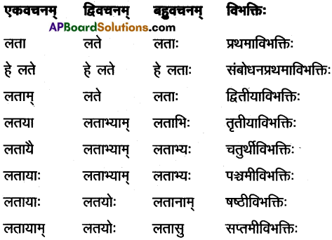 AP Inter 1st Year Sanskrit Study Material शब्दरूपाणि 8