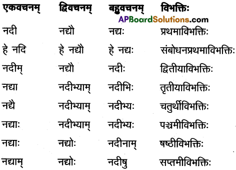 AP Inter 1st Year Sanskrit Study Material शब्दरूपाणि 9