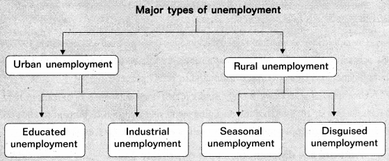AP Inter 2nd Year Economics Study Material Chapter 3 National Income 5