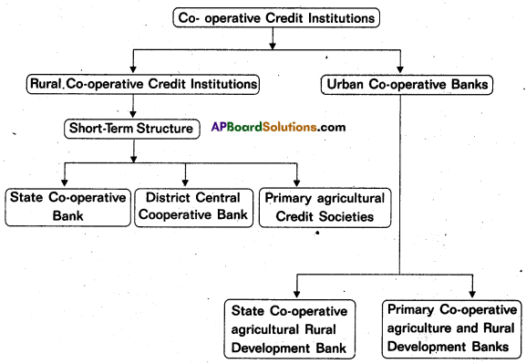 AP Inter 2nd Year Economics Study Material Chapter 4 Agriculture Sector 3