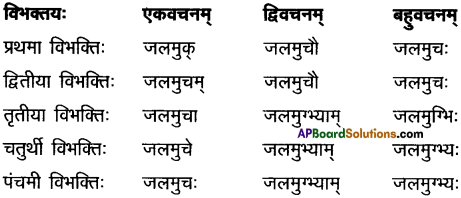 AP Inter 2nd Year Sanskrit Grammar शब्दरूपाणि 1