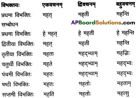 AP Inter 2nd Year Sanskrit Grammar शब्दरूपाणि 10