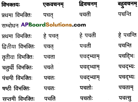 AP Inter 2nd Year Sanskrit Grammar शब्दरूपाणि 11