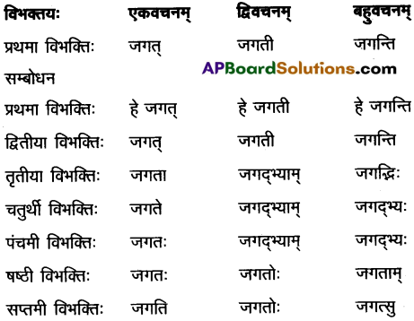 AP Inter 2nd Year Sanskrit Grammar शब्दरूपाणि 12