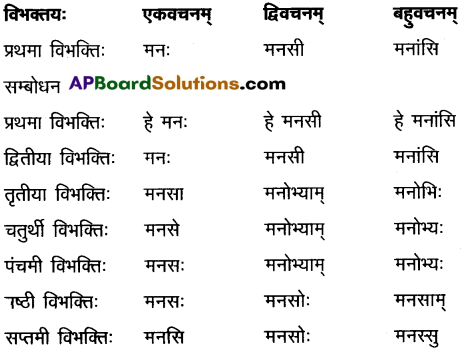 AP Inter 2nd Year Sanskrit Grammar शब्दरूपाणि 13