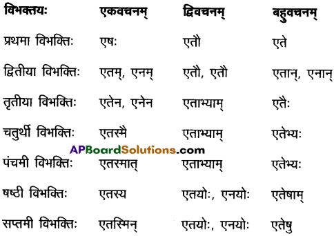 AP Inter 2nd Year Sanskrit Grammar शब्दरूपाणि 17